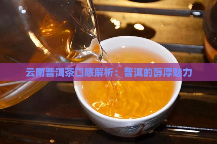 云南普洱茶喝起来口感