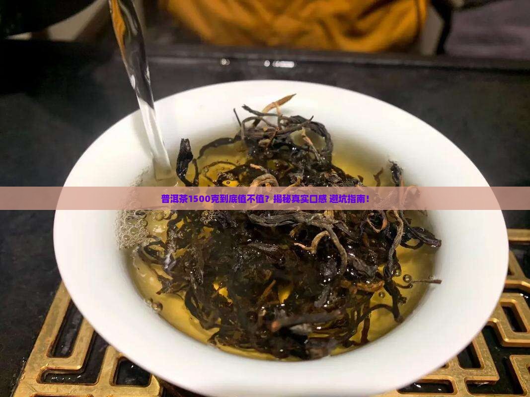 普洱茶1500克