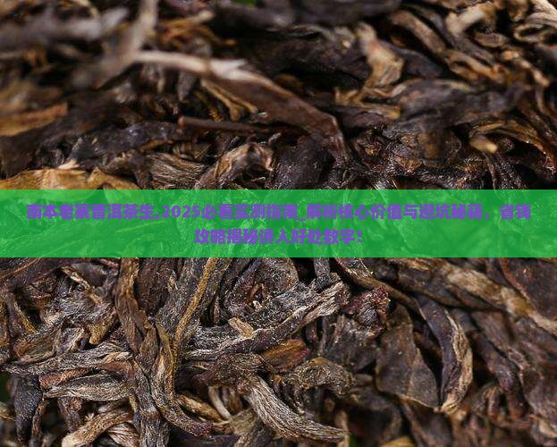 南本老寨普洱茶生