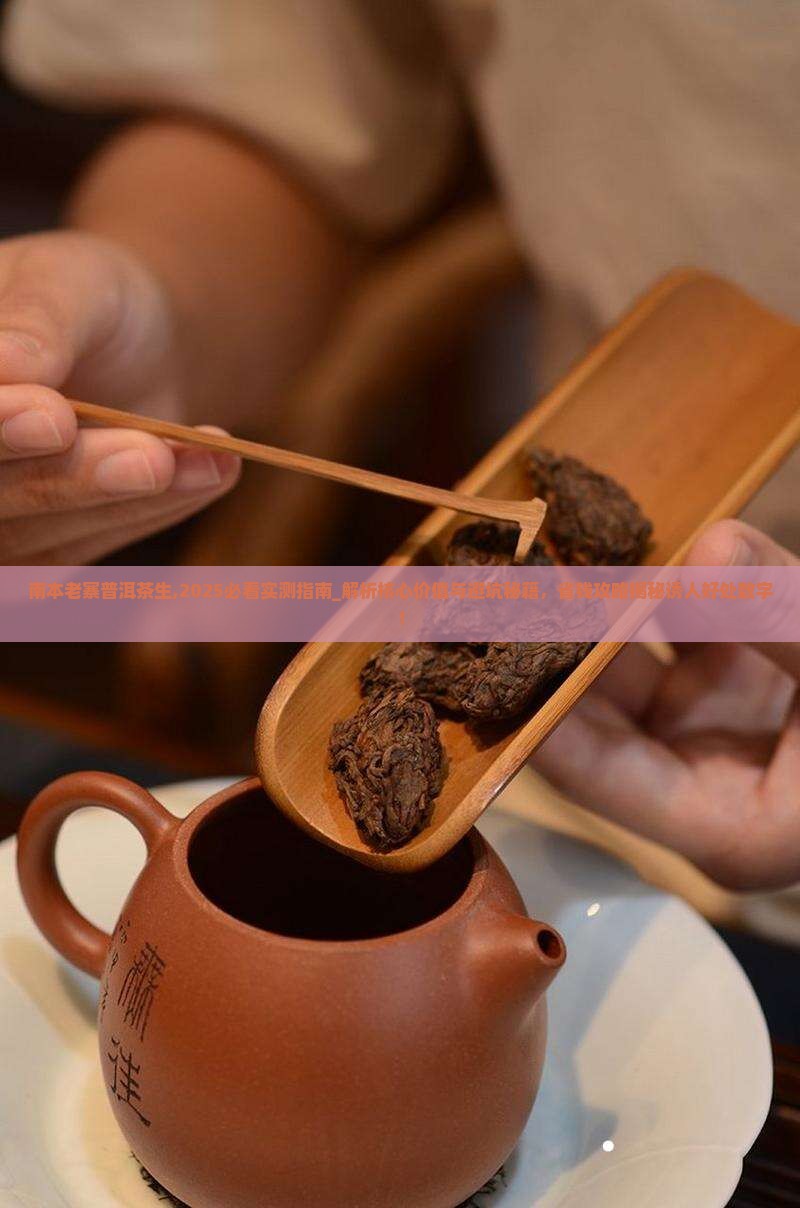 南本老寨普洱茶生
