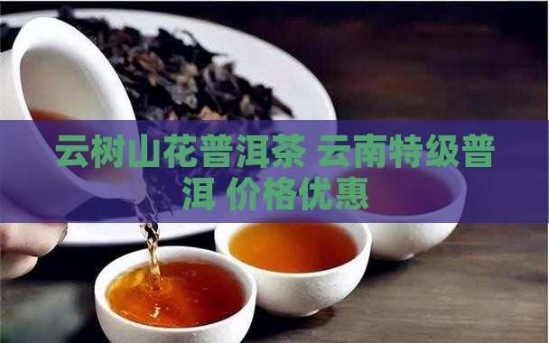 云树山花特级普洱茶