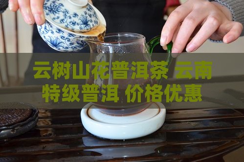 云树山花特级普洱茶