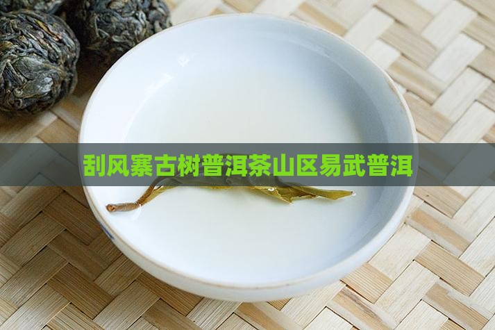 刮风寨茶普洱茶
