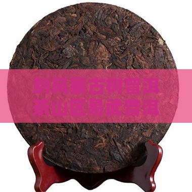 刮风寨茶普洱茶