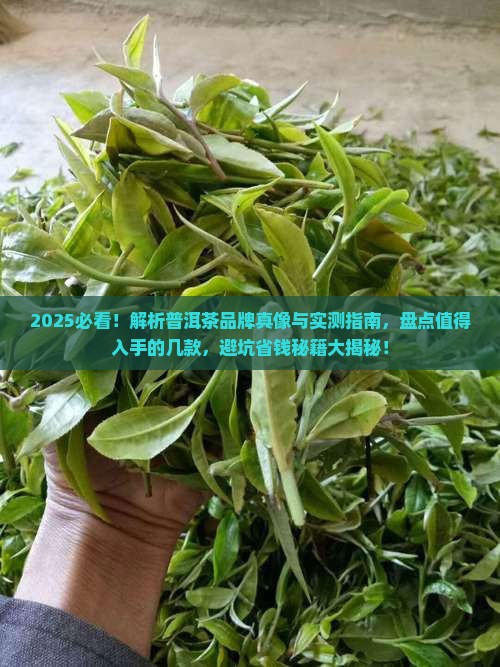 值得入手的几款普洱茶品牌