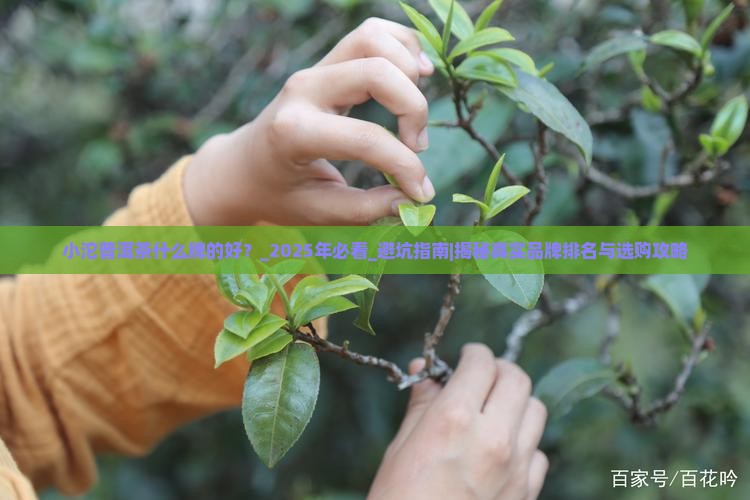 小沱普洱茶什么牌的好