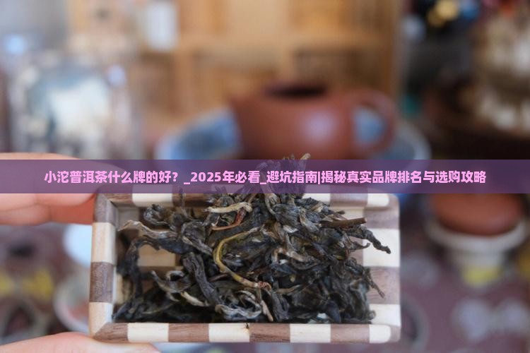 小沱普洱茶什么牌的好