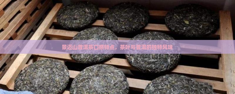 景迈山回普洱茶口感