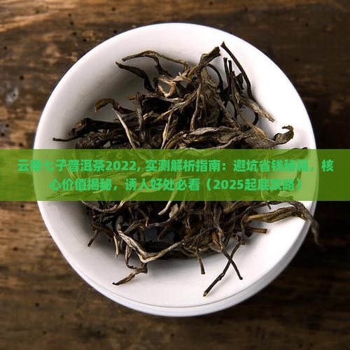 云南七子普洱茶2022
