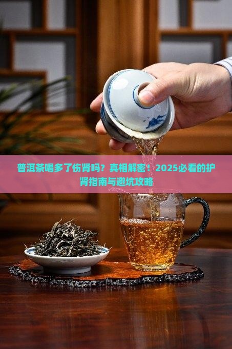 普洱茶喝多了伤肾吗