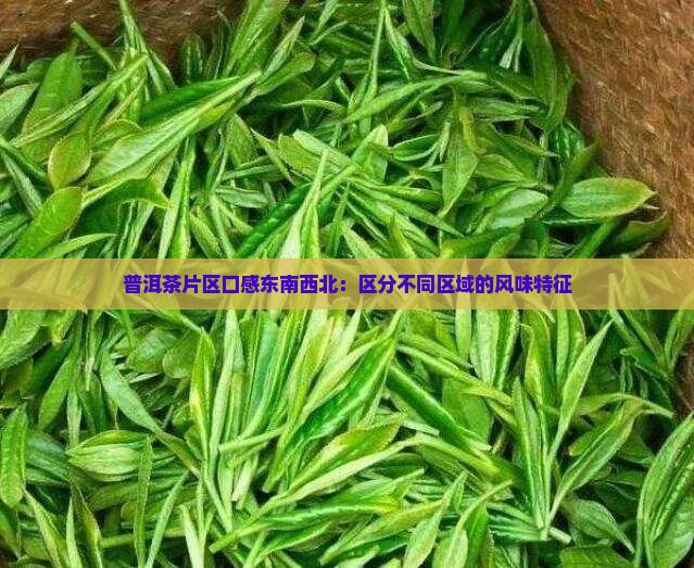 普洱茶片区口感东南西北
