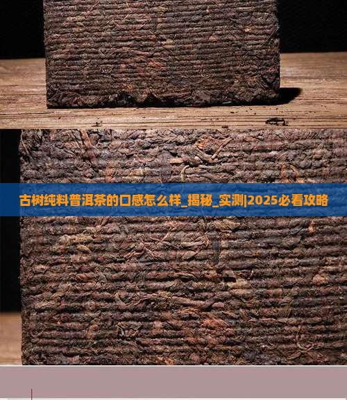 古树纯料普洱茶的口感怎么样