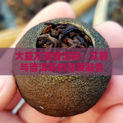 大益苁蓉普洱茶