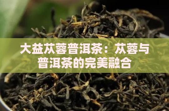 大益苁蓉普洱茶