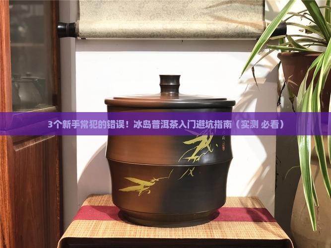冰岛普洱茶入门
