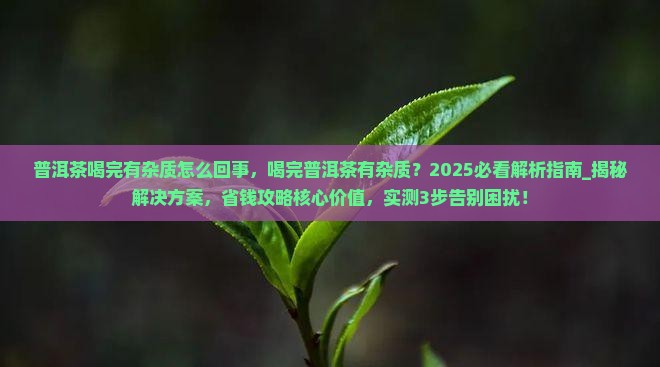 普洱茶喝完有杂质怎么回事
