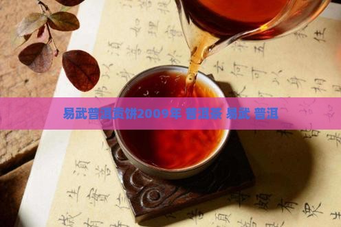 易武普洱贡饼2009年