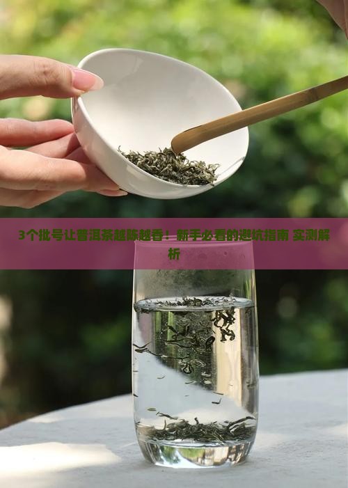 大益普洱茶什么批号好