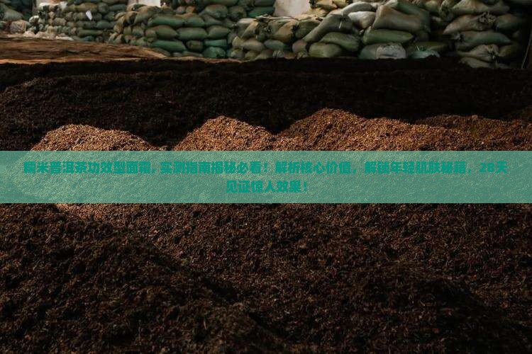 糯米普洱茶功效型面霜