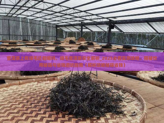 普洱茶上有绿毛还能喝吗