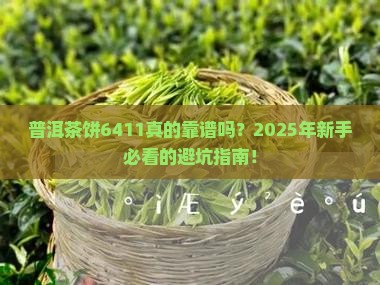 普洱茶饼6411