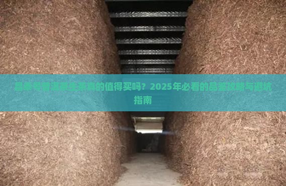 昌泰号普洱茶生茶