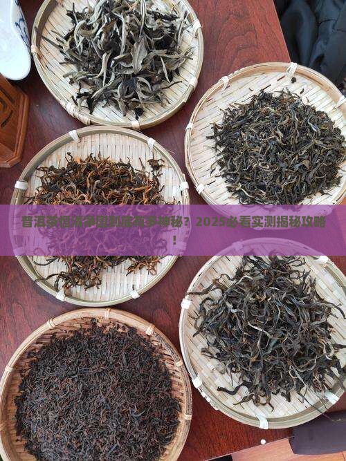 普洱茶恒清净园是什么茶 普洱茶恒清净园是什么茶