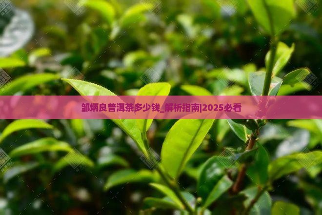 邹炳良普洱茶多少钱