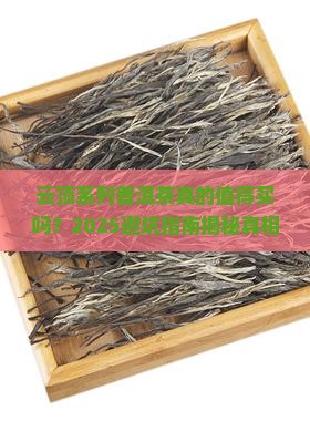 云顶系列普洱茶
