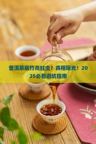普洱茶扁竹壳蛀虫
