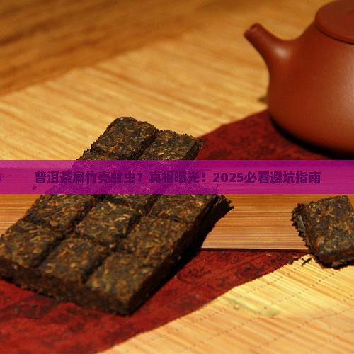 普洱茶扁竹壳蛀虫