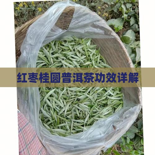 红枣桂圆汤普洱茶