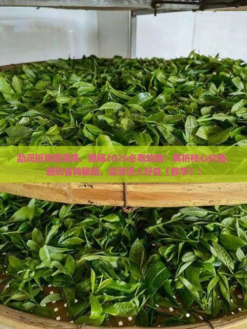 勐润班章普洱茶