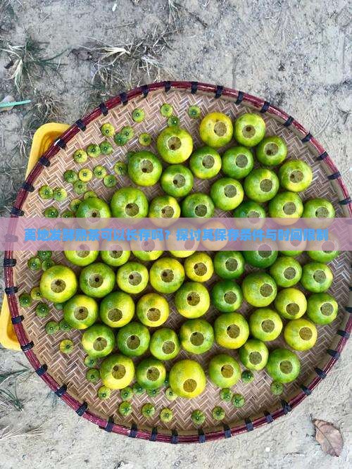 离地发酵熟茶可以长存吗