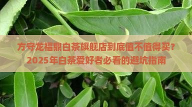 方守龙福鼎白茶旗舰店