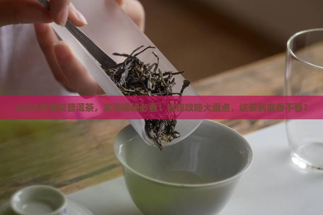 博友普洱茶2008年的