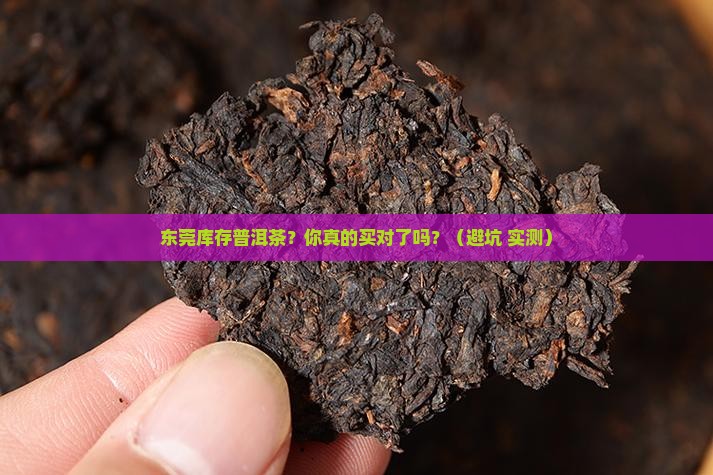 东莞库存普洱茶