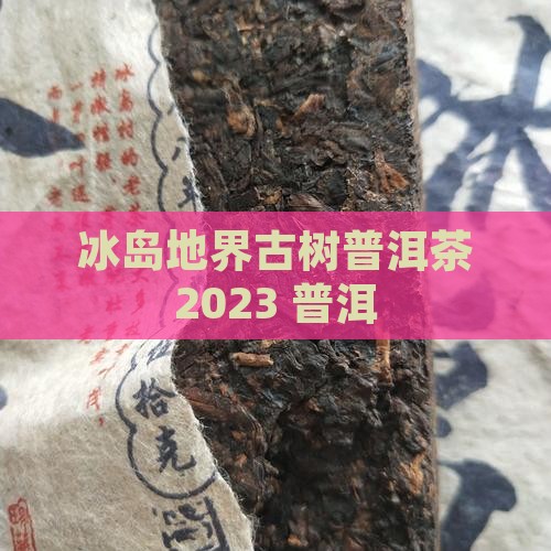 地界古树普洱茶2023