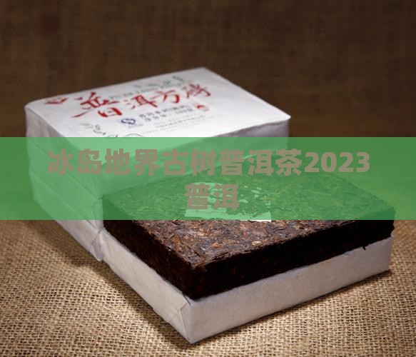 地界古树普洱茶2023