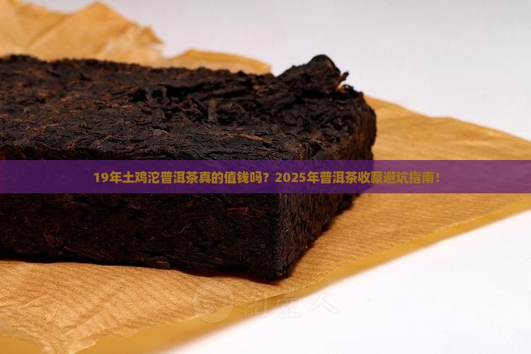 19年土鸡沱普洱茶