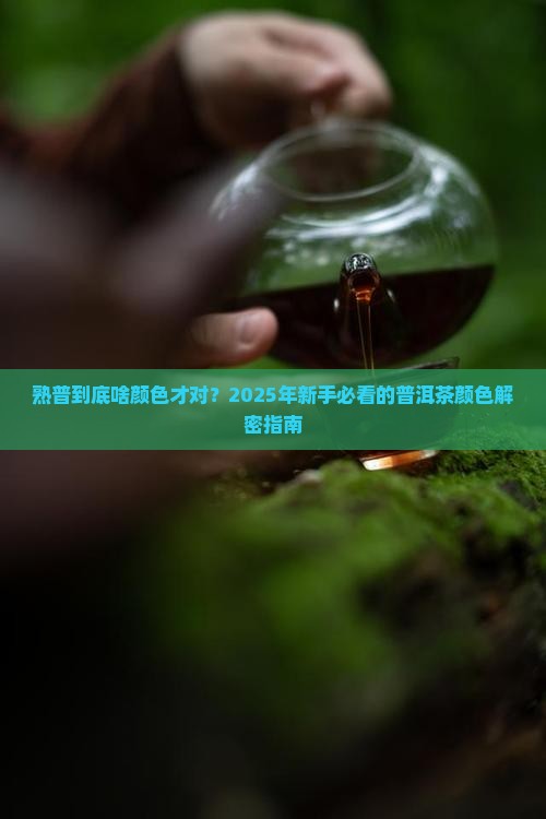 好的普洱茶熟普的颜色