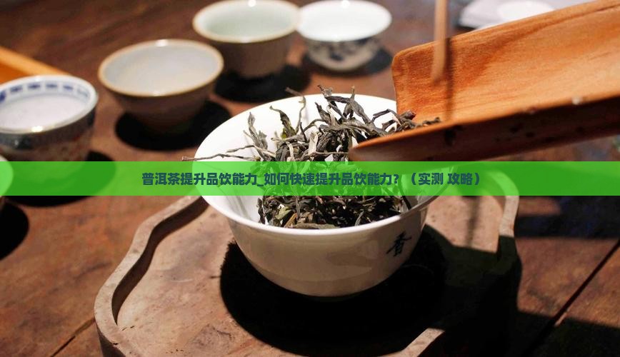 普洱茶提升品饮能力