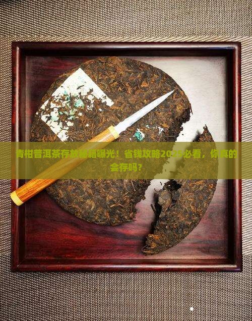 青柑普洱茶怎样存放