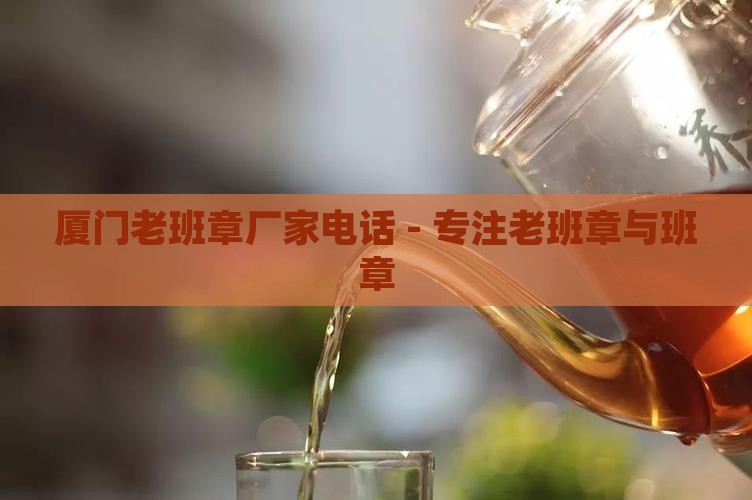 厦门老班章厂家电话