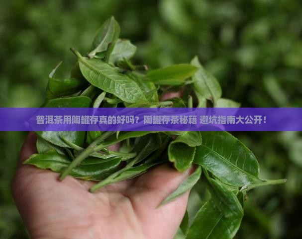 普洱茶用陶罐存好吗