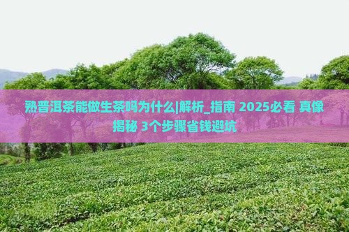 熟普洱茶能做生茶吗为什么