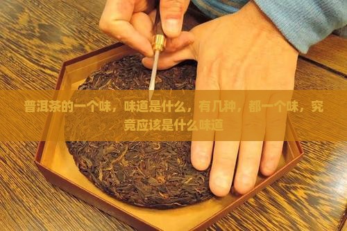 普洱茶的一个味