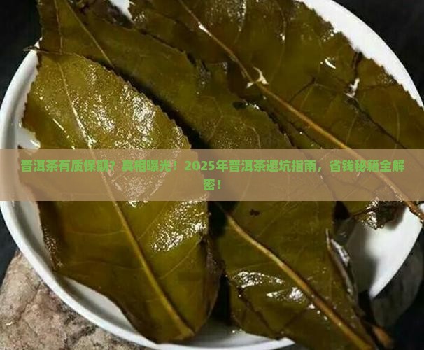 普洱茶有质保期