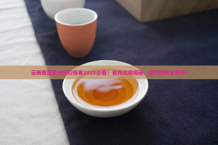 云南普洱茶拍照价格表