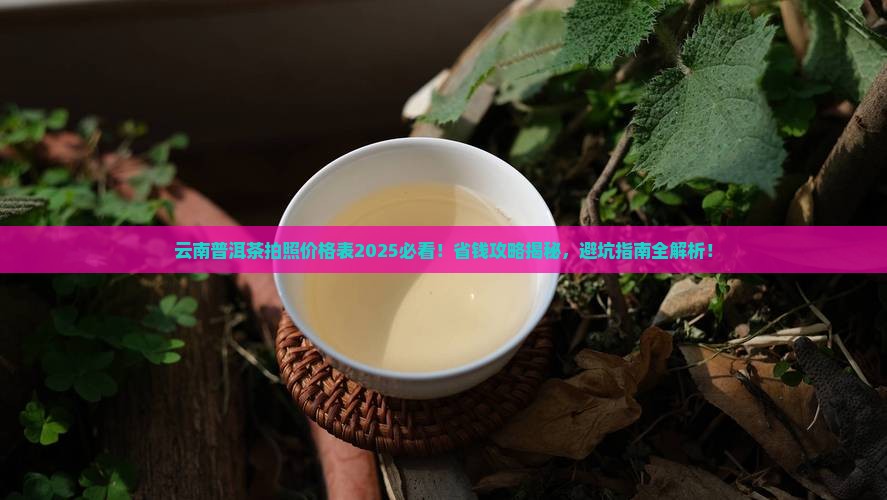 云南普洱茶拍照价格表